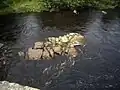 Outcrop in the River Dee in Scotland, United Kingdom