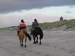 One example for Merkmal: Reiten