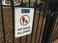 dog=no