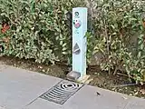 A drinking fountain only for dogs in Málaga, Spain.