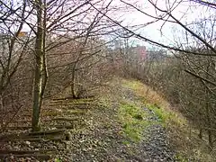 Clearly mappable remains - track ties, ballast and embankment remain present, map as railway=abandoned