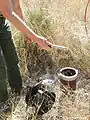 Manual sampling of a well