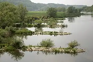 Groynes on a river