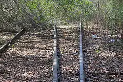 Abandoned and overgrown railway tracks, clearly mappable as railway=disused