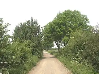 natural=scrub 道路を確保するために伸びすぎた枝が時々剪定されます[2]。