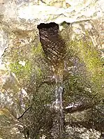 A natural spring on Mackinac Island in Michigan