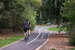 A cyclist rides on a shared bike path with visible surface markings