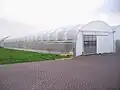 Plastic greenhouse [2]