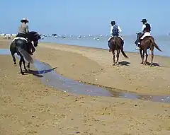 One example for Característica: Equitación