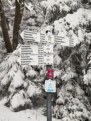 Carrefour "Hilsenberg" d'un réseau pédestre