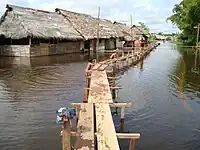Techo cubierto de hojas de palmeras