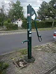 Manchmal ist eine kleine Kugelkrone am Kopf zu finden,...