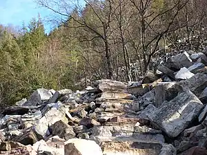 Natural rock, with nearly no processing used to pave a mountainous path. The best tagging of that is likely highway=steps + surface=rock