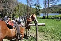 A wooden hitching rail in rural Montana