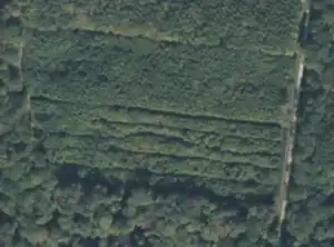 Overhead imagery of a forest compartment