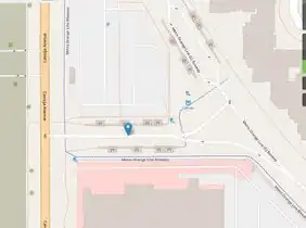 Spur off of the Metro G Busway connnecting to Canoga Avenue in Los Angoles (link)