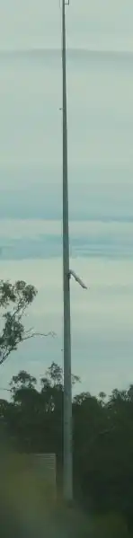 Mât avec limnimétre