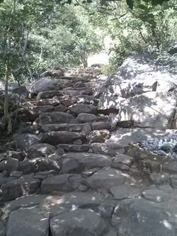 highway=steps ramp=no wheelchair=no handrail=no material=rock surface=rock