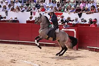 In the bullfighting ring