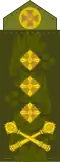 Генерал-лейтенант Heneral-leytenant[55] (Ukrainian Ground Forces)