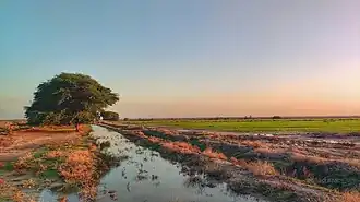 Sunset in Ab-Pakhsh (Bushehr province)