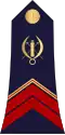 Caporal (Burkina Faso Ground Forces)[40]