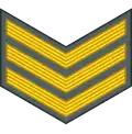 Sergeant (Namibian Army)[87]