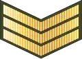 Sarjan (Royal Brunei Land Force)[55]