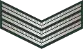 Sergeant (Sri Lanka Army)[101]
