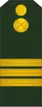 Sergent (Moldovan Ground Forces)[85]