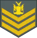 Staff sergeant (Namibian Army)[41]