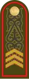 Cержант Serjant (Kazakh Ground Forces)[72]