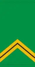 Sergent (Malian Army)[83]