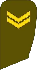 Seržantas (Lithuanian Land Force)[78]