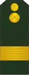 Sergent-major (Moldovan Ground Forces)[40]