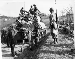 Elements of the 10th Mountain Division advancing in Italy in April 1945.