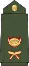 Lieutenant Nepali: उपसेनानी, romanized:&nbsp;Upasēnānī (Nepali Army)[57]