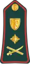 Lieutenant general (Gambian National Army)