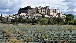 View of Grignan and its castle, with a lavender field in the foreground