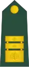 Generalmajor (Slovenian Ground Force)[64]