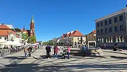Central Fountain and Catholic Archcathedral Basilica