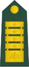 General (Slovenian Ground Force)[39]