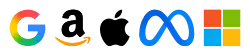 The 2000s saw the rise of the Big Tech companies like Alphabet (Google), Amazon, Apple, Meta (then Facebook), and Microsoft, all headquartered in the West Coast of the United States.