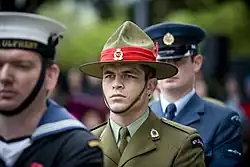 A soldier in a green army uniform faces forward