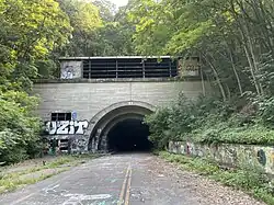 Overgrown tunnel entrance with graffiti
