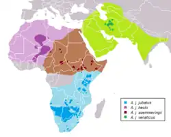 Map showing the distribution of the cheetah