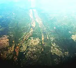 Aerial view of an island formed by Kaveri and Kollidam