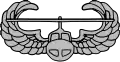 Air Assault Badge
