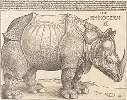 Rhinoceros, 1515