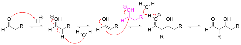 Mechanism for acid-catalyzed aldol reaction of an aldehyde with itself